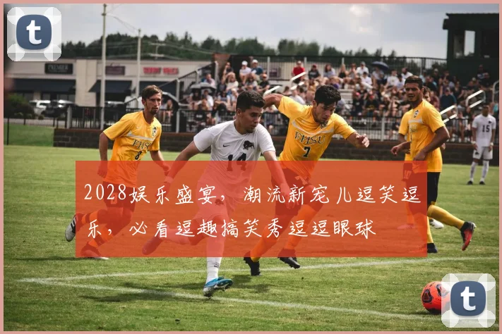 2028娱乐盛宴，潮流新宠儿逗笑逗乐，必看逗趣搞笑秀逗逗眼球