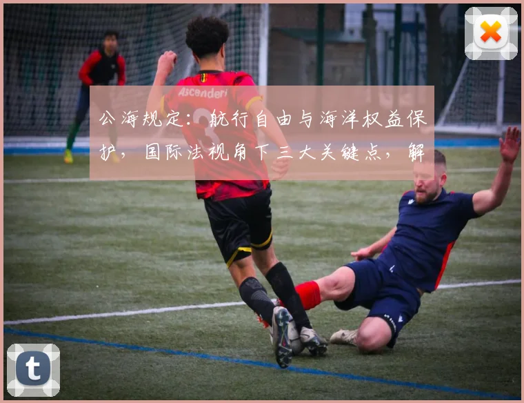 公海规定：航行自由与海洋权益保护，国际法视角下三大关键点，解读与应对策略