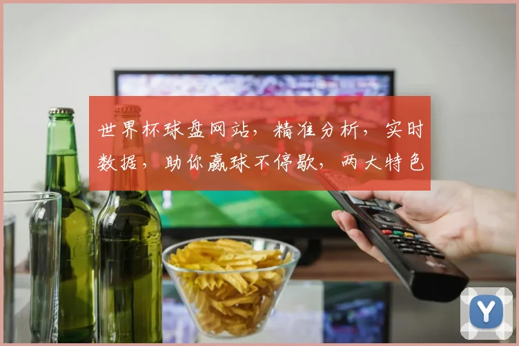 世界杯球盘网站，精准分析，实时数据，助你赢球不停歇，两大特色，不容错过