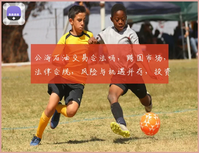 公海石油交易合法吗，跨国市场，法律合规，风险与机遇并存，投资必看